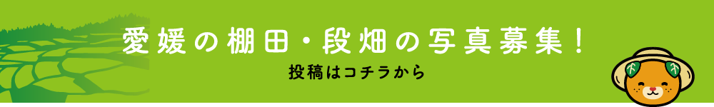 投稿はコチラ