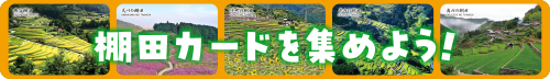 棚田カード