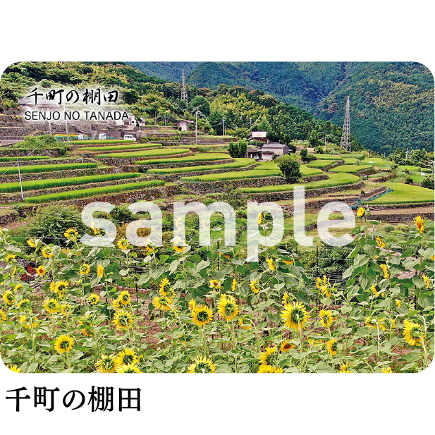 千町の棚田