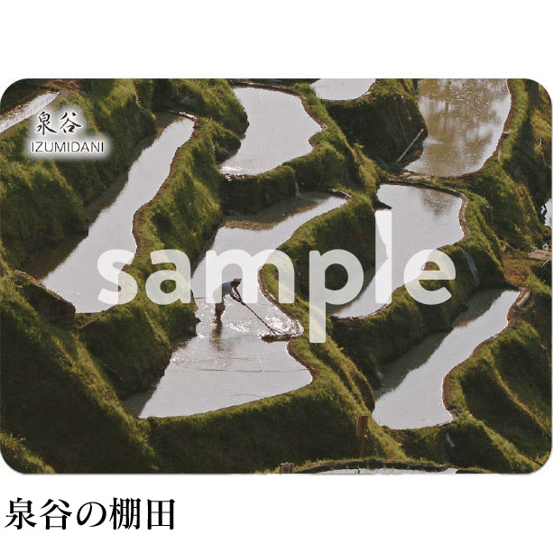 泉谷の棚田