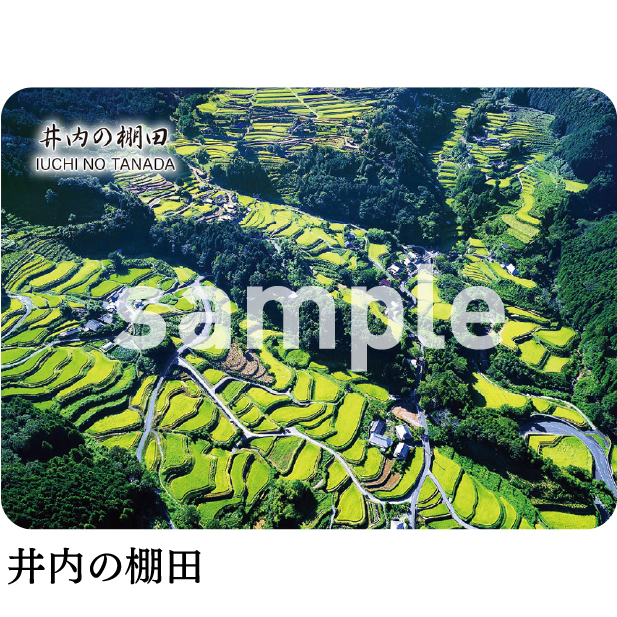 井内の棚田