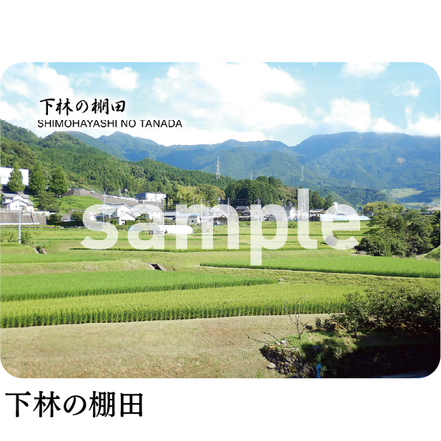 下林の棚田