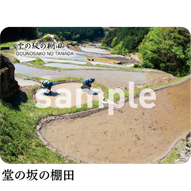 堂の坂の棚田
