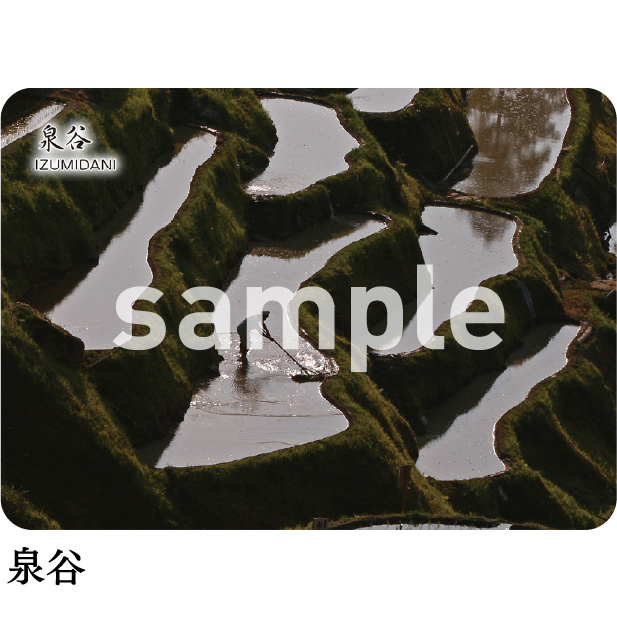 泉谷