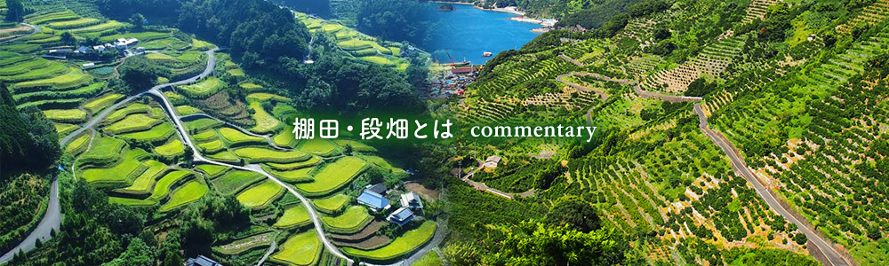 棚田・段畑とは
