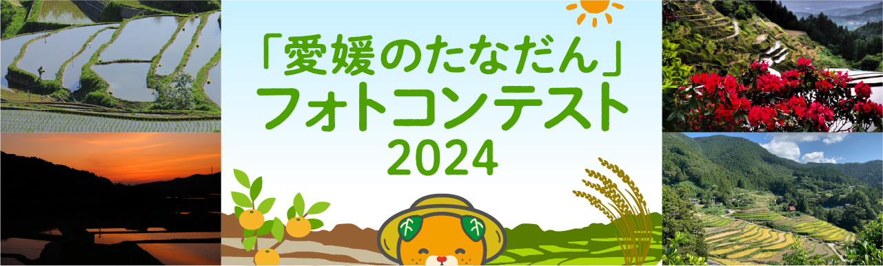愛媛のたなだん　フォトコンテスト2024
