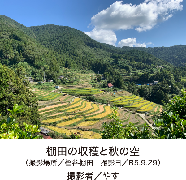 フォトコンテスト写真