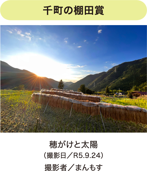 フォトコンテスト写真