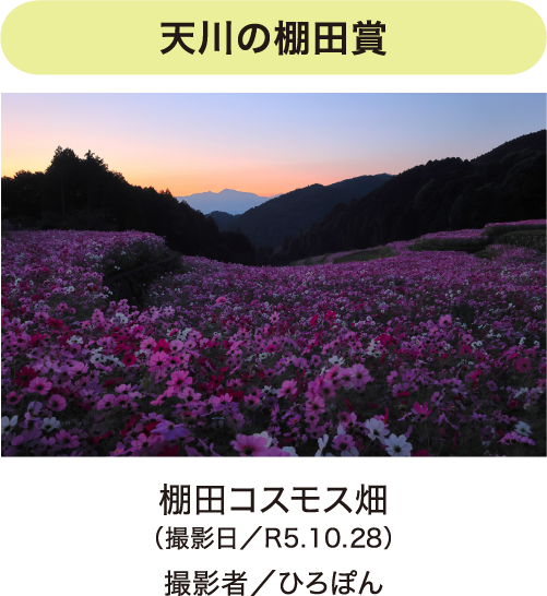 フォトコンテスト写真