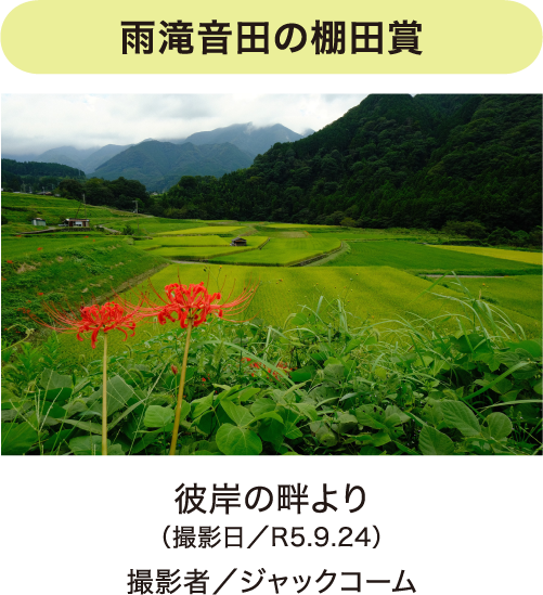 フォトコンテスト写真