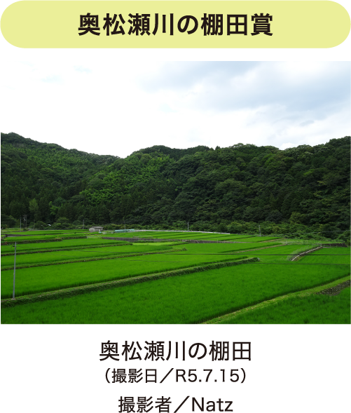 フォトコンテスト写真