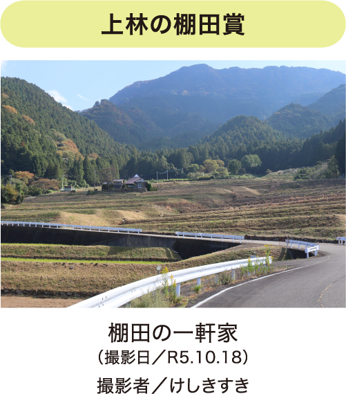 フォトコンテスト写真