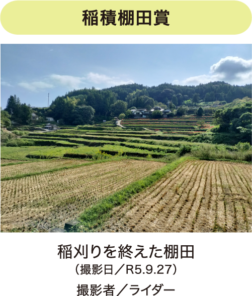 フォトコンテスト写真