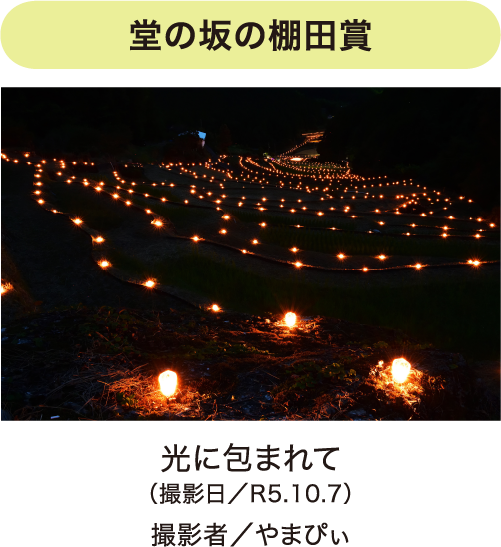 フォトコンテスト写真