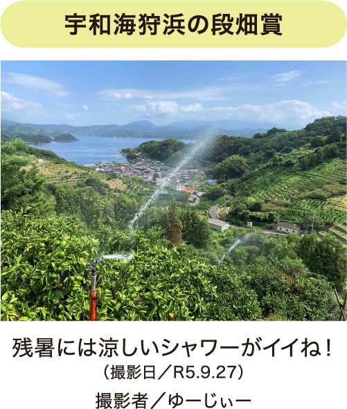 フォトコンテスト写真