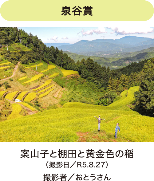 フォトコンテスト写真