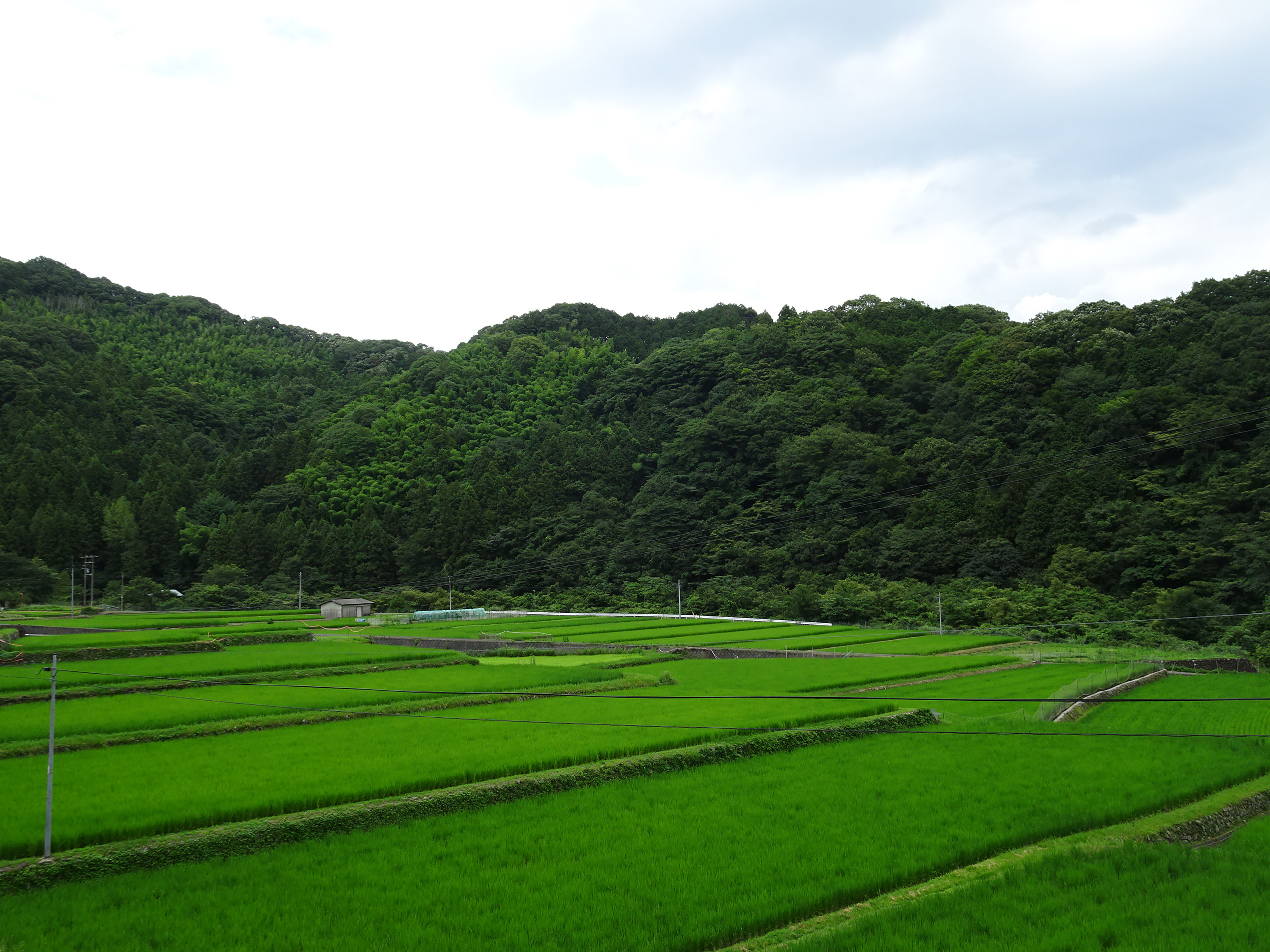 フォトコンテスト写真