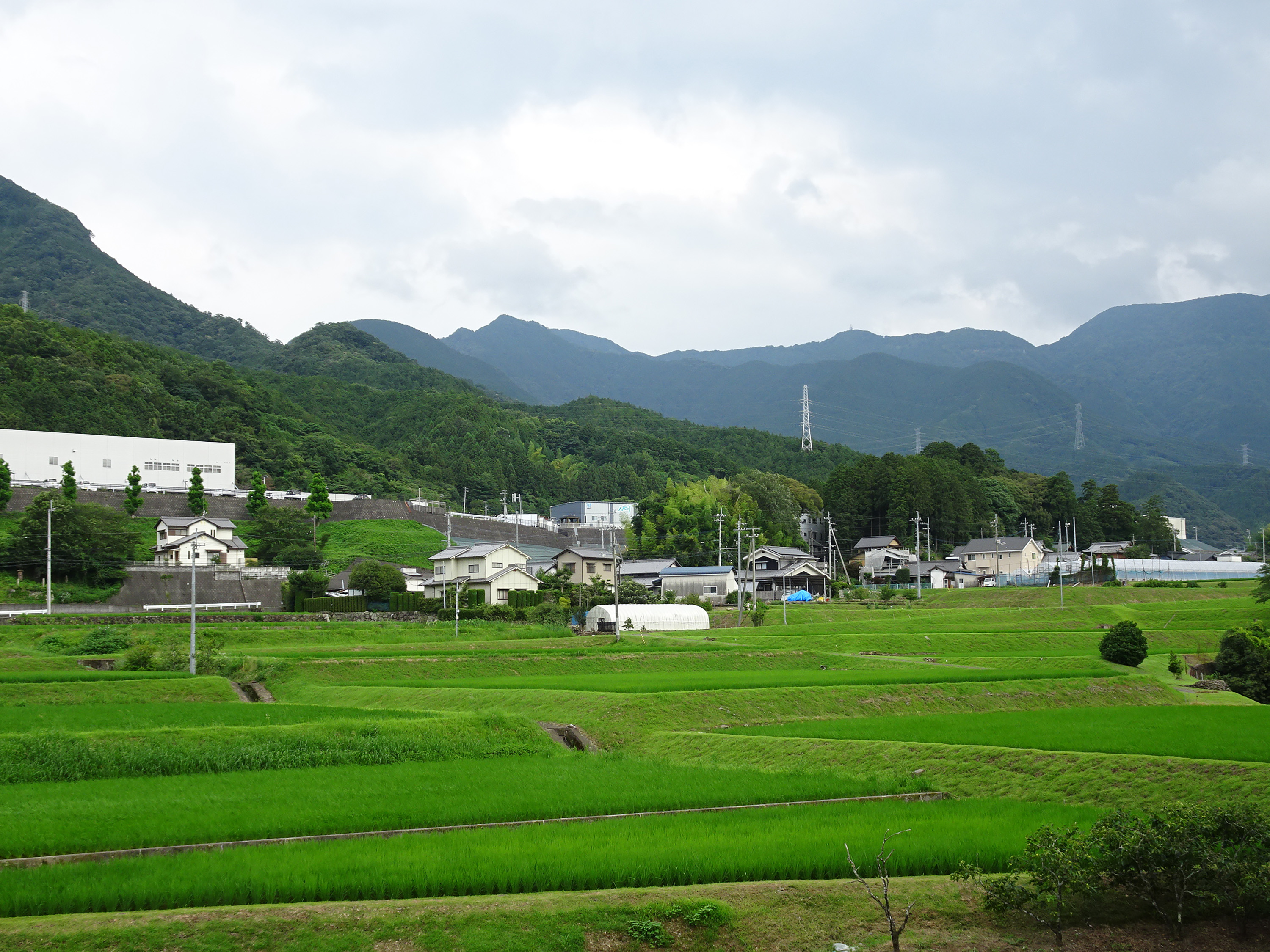 フォトコンテスト写真