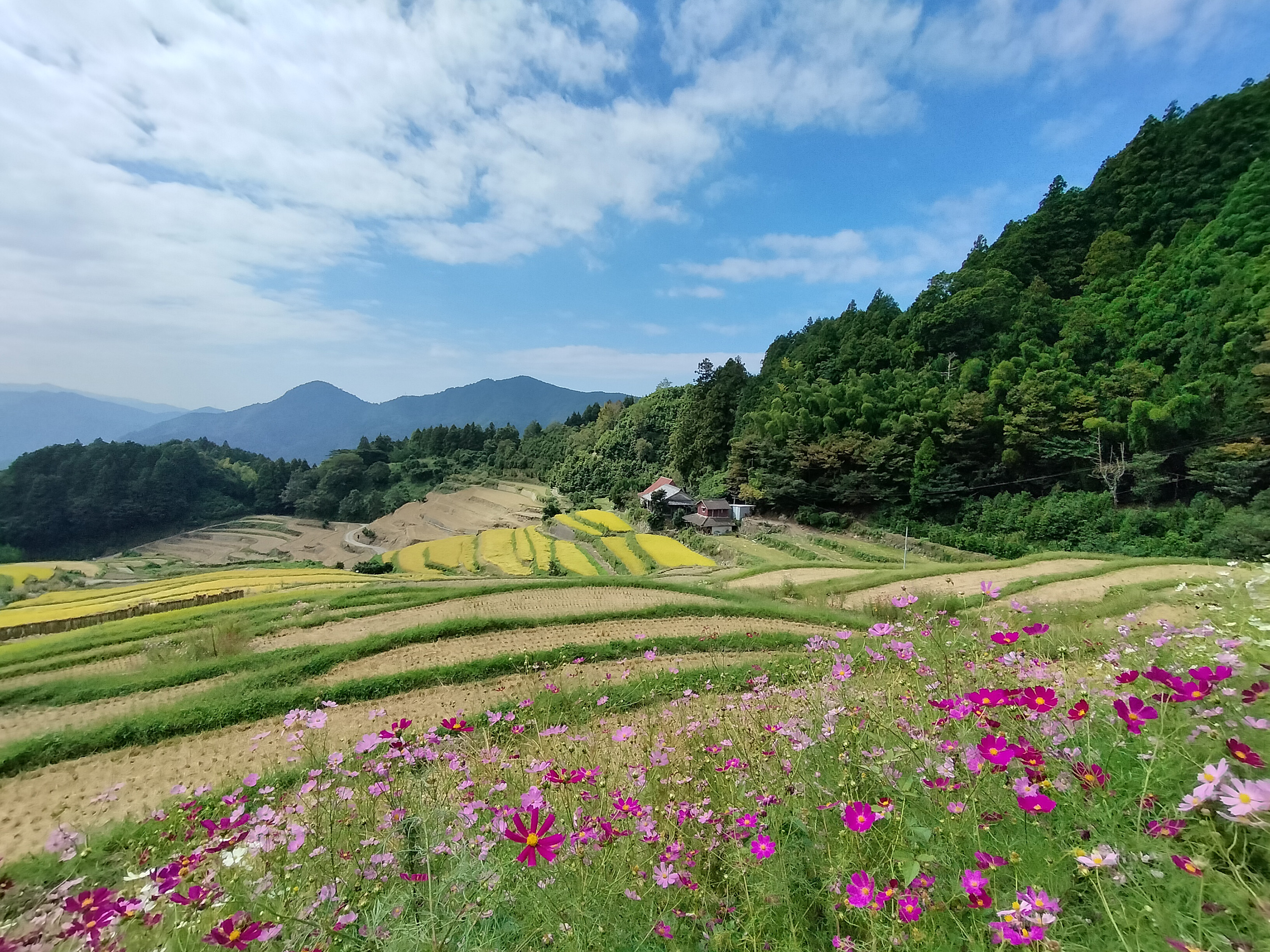 フォトコンテスト写真