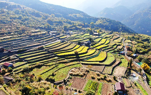 千町の棚田の写真
