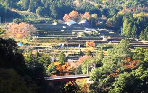 棚田・段畑