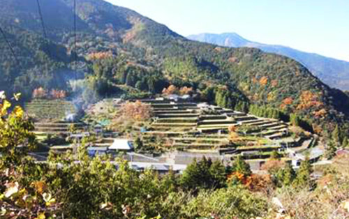 棚田・段畑