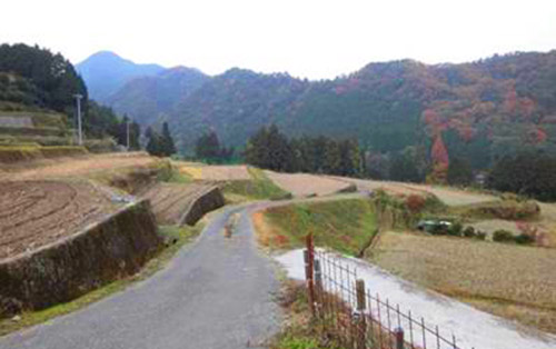 稲刈り後の黒谷の棚田の写真