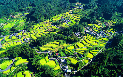 棚田・段畑