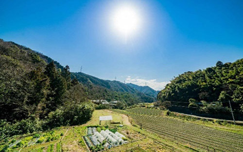 棚田・段畑