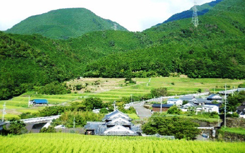 棚田・段畑