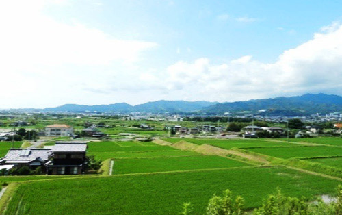 棚田・段畑