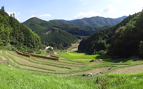 棚田・段畑