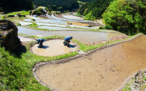 棚田・段畑