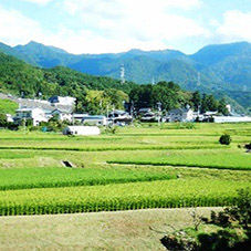 下林の棚田